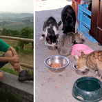Benessere animale nel Biellese, quattro proposte contro randagismo e abbandono Benessere animale nel Biellese, quattro proposte contro randagismo e abbandono