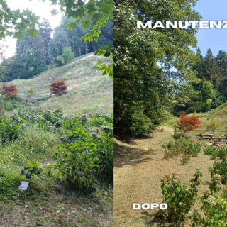 Parco Burcina, proseguono gli interventi di manutenzione del verde