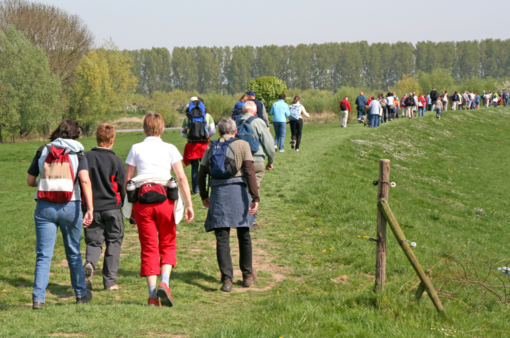 Avis Cavaglià, domenica la passeggiata per le vie del paese Avis Cavaglià, domenica la passeggiata per le vie del paese