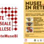 Rete Museale Biellese, dal Museo del Territorio all'Ecomuseo della Terracotta: torna "Musei in rete"