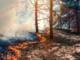 Oltre 500 operatori contro gli incendi, la Regione fa il punto sulla siccità Oltre 500 operatori contro gli incendi, la Regione fa il punto sulla siccità
