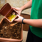 Mottalciata, corso gratuito sul compostaggio domestico