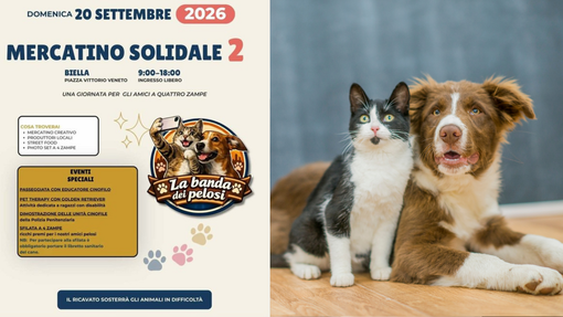 Torna a Biella il Mercatino Solidale, per gli amici a quattro zampe Torna a Biella il Mercatino Solidale, per gli amici a quattro zampe