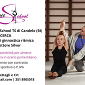 Candelo, selezione aperta per una tecnica di ginnastica ritmica Candelo, selezione aperta per una tecnica di ginnastica ritmica