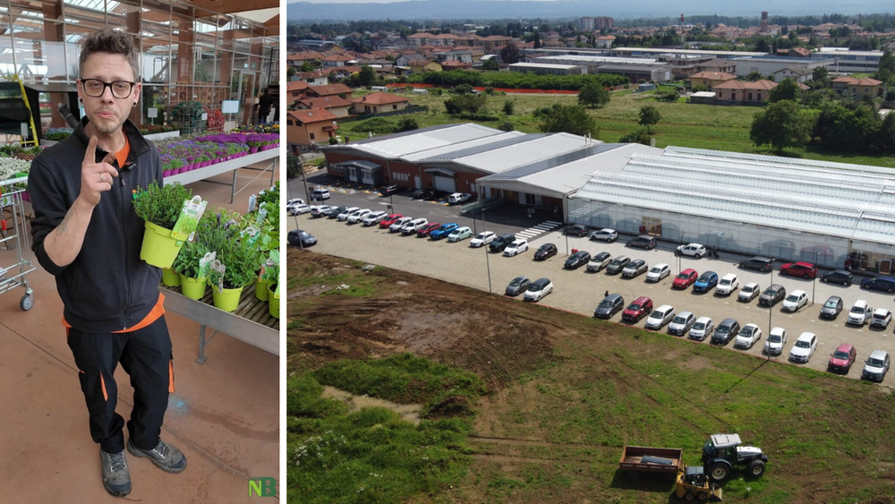 Gardenville, aromatiche nell’orto: preziose alleate per proteggere le coltivazioni