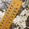 Primavera 2026, nel Biellese temperature sopra la media e piogge più scarse - Foto di repertorio Primavera 2026, nel Biellese temperature sopra la media e piogge più scarse - Foto di repertorio