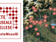 Rete Museale Biellese, un fine settimana ricco di eventi Rete Museale Biellese, un fine settimana ricco di eventi