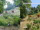 Parco Burcina, proseguono gli interventi di manutenzione del verde Parco Burcina, proseguono gli interventi di manutenzione del verde