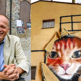 Colonie feline, stop alle emergenze: “Servono dati, prevenzione e coordinamento”