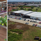 Gardenville, aromatiche nell’orto: preziose alleate per proteggere le coltivazioni