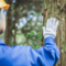 Più risorse per la filiera del legno piemontese: 6,6 milioni di euro per gli investimenti forestali Più risorse per la filiera del legno piemontese: 6,6 milioni di euro per gli investimenti forestali