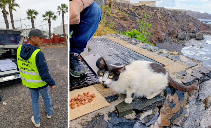 Dall'amore per gli animali alla cura delle colonie feline: Alessandro Argentero volontario a Tenerife