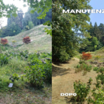 Parco Burcina, proseguono gli interventi di manutenzione del verde