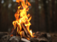 Rischio incendi nel Biellese: stop a fuochi, grigliate e fiamme libere Rischio incendi nel Biellese: stop a fuochi, grigliate e fiamme libere
