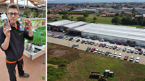 Funghi, insetti e malattie: i consigli di Gardenville per difendere l’orto in modo naturale