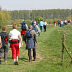 Avis Cavaglià, domenica la passeggiata per le vie del paese Avis Cavaglià, domenica la passeggiata per le vie del paese