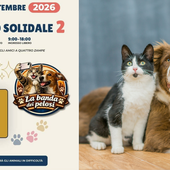 Torna a Biella il Mercatino Solidale, per gli amici a quattro zampe