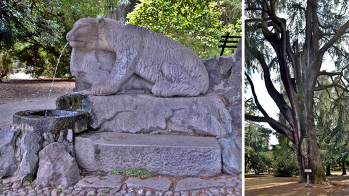 I Giardini Zumaglini di Biella: storia, natura e importanza per la città - Foto Alessandro Argentero I Giardini Zumaglini di Biella: storia, natura e importanza per la città - Foto Alessandro Argentero