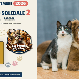 Torna a Biella il Mercatino Solidale, per gli amici a quattro zampe