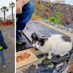 Dall'amore per gli animali alla cura delle colonie feline: Alessandro Argentero volontario a Tenerife