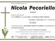Nicola Pecoriello