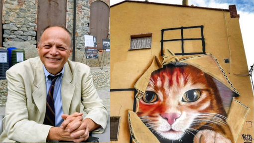 Colonie feline, stop alle emergenze: “Servono dati, prevenzione e coordinamento”