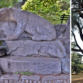 I Giardini Zumaglini di Biella: storia, natura e importanza per la città - Foto Alessandro Argentero