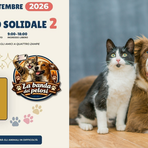 Torna a Biella il Mercatino Solidale, per gli amici a quattro zampe Torna a Biella il Mercatino Solidale, per gli amici a quattro zampe