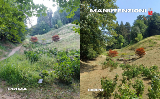 Parco Burcina, proseguono gli interventi di manutenzione del verde Parco Burcina, proseguono gli interventi di manutenzione del verde
