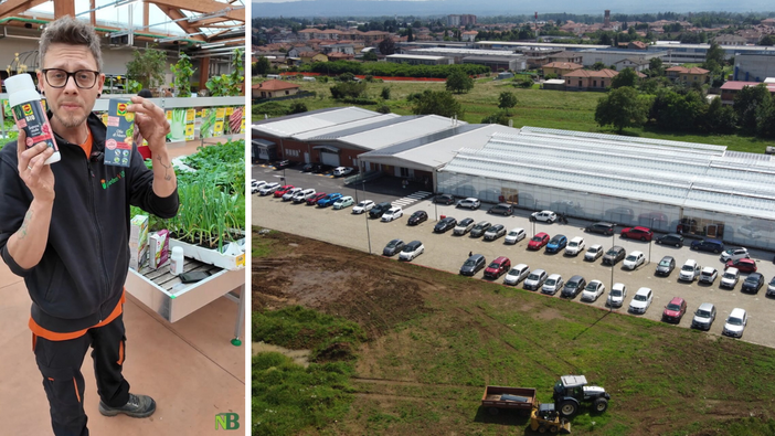 Funghi, insetti e malattie: i consigli di Gardenville per difendere l’orto in modo naturale