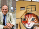 Colonie feline, stop alle emergenze: “Servono dati, prevenzione e coordinamento”