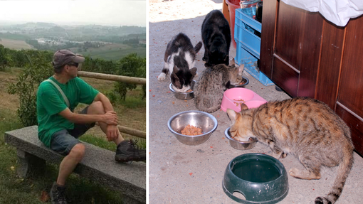 Benessere animale nel Biellese, quattro proposte contro randagismo e abbandono Benessere animale nel Biellese, quattro proposte contro randagismo e abbandono