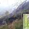 Un'immagine dell'incendio in Valsessera, sopra la mappa dell'avviso emanato dal Comune di Coggiola. Un'immagine dell'incendio in Valsessera, sopra la mappa dell'avviso emanato dal Comune di Coggiola.