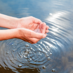 “Acqua è Vita”, a Sandigliano il dibattito del Rotary Club Valle Mosso “Acqua è Vita”, a Sandigliano il dibattito del Rotary Club Valle Mosso
