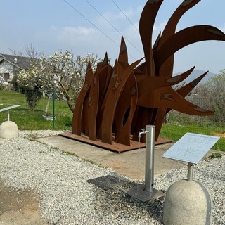 Circuito Coppa Piemonte Drali, un invito agli appassionati per celebrare Marco Pantani con la tappa di Oropa al Giro D'Italia.