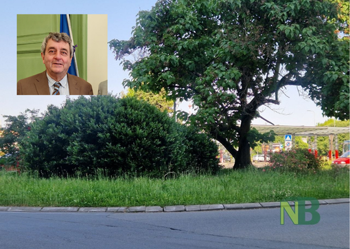 Verde pubblico, Biella scommette su Seab, Castagnetti: “La città sarà più curata” Verde pubblico, Biella scommette su Seab, Castagnetti: “La città sarà più curata”