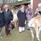 Valdilana, l’Inner Wheel Valsesia visita Alpacone: dagli alpaca ai filati di pregio Valdilana, l’Inner Wheel Valsesia visita Alpacone: dagli alpaca ai filati di pregio