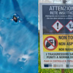 Popilia Japonica, 3 anni di ricerca: a Biella i risultati del progetto “Dante” sull’uso di droni in vigneto (foto di repertorio)