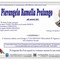 Pierangelo Ramella Pralungo Pierangelo Ramella Pralungo