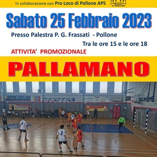 pallamano pro loco