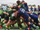 biella rugby