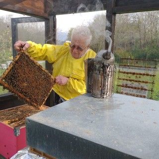 Giornata Mondiale delle api: il Biellese un esempio per l’apicoltura.