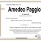 Amedeo Paggiolu