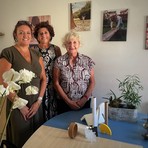 Fili e Radici: un progetto con cui Biella chiama a raccolta la città per i suoi bambini Fili e Radici: un progetto con cui Biella chiama a raccolta la città per i suoi bambini