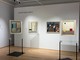 Segni e visioni del Novecento, a Biella la mostra: ecco gli appuntamenti per famiglie e appassionati d’arte