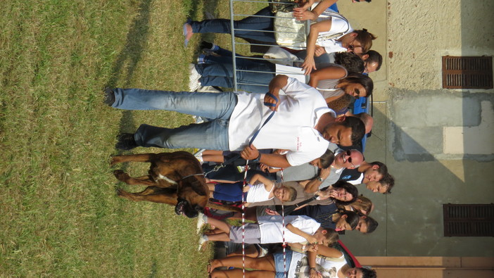 Podismo - Questa sera si corre a Massazza
