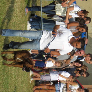 Podismo - Questa sera si corre a Massazza