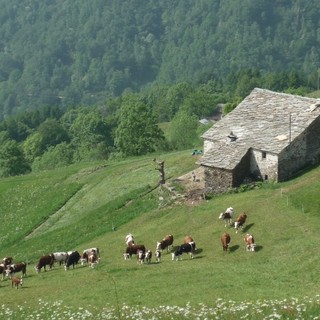 Bagneri, torna la Passeggiata alle Salvine: cammino fra baite e prati fioriti