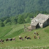 Bagneri, torna la Passeggiata alle Salvine: cammino fra baite e prati fioriti