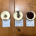 Biodiversità in quota: Giardino Botanico di Oropa e A.Di.P.A. Piemonte celebrano la cultura dei semi